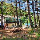 미시령계곡캠핑장 이미지