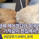 Yuri Stay | 🔺떠돌이 형제. 헤어졌다가 미국에서 만나 기적같이 한집에서 살게 되었다.🔺 동물권단체케어/ care