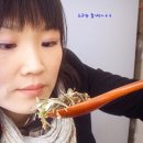 인생참치 이미지