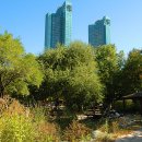 서울숲10 이미지