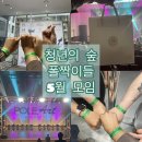 에끌로아트 | [폴짝이들] 대전 청년 커뮤니티 '청년의 숲' 5월 모임 : 2023 POLE ART KOERA 포사폴아트코리아