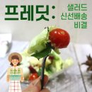 에치와이구미점 | 프레딧 샐러드 정기배송: 가입과 쿠폰 할인받는법