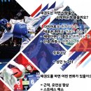 용인대창룡태권도 이미지