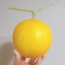 수신제일농장