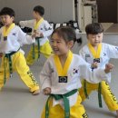 태권도 다움 이미지