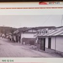 동곡상회 네이버블로그