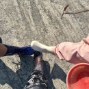 금천마을회관 | [경남 남해] 금천갯벌체험장 - 아이와 바지락 캐기 체험 후기