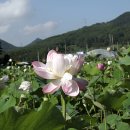 백로산장 이미지