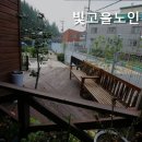 빛고을노인간호센터 이미지