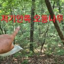 오지랍