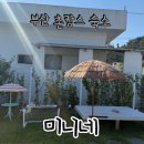 혀니키즈팬션민박 | 부산 기장 임랑해수욕장 촌캉스 숙소 추천 - 미니네 민박