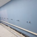 진복싱 다이어트 클럽 이미지