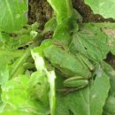 상근농장 이미지