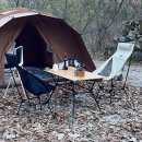 코코와사람들 이미지