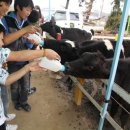 비전스쿨지역아동센터 이미지