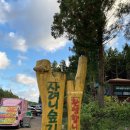 신성마을 (신광사거리방면) | 제주도 여행 사려니숲길 피톤치드 힐링 산책과 입구 주차장 정보