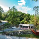 강아지 테마파크 이미지