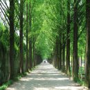 로터스팜 이미지