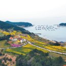 당리푸른 이미지