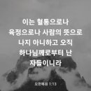 요한복음1장13절~14절 이미지