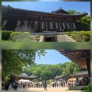 불기2570(20260524) 부처님오신날 김포소재 금정사에 부모님 영가등 밝히고 가정의 화목.건강기원 방문후기