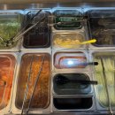 혜영빌딩 | [마석맛집] 남양주 화도 고기 육감돼지’ 후기