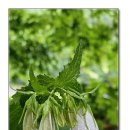 오며가며 이미지