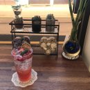 카페나무1298