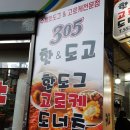 305핫&도고