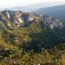 오색약국 이미지