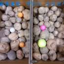 짬뽕드실분 이미지