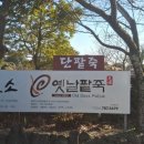 성읍민속로 이미지