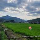 경남부동산중개 이미지