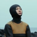 어멍 노컷뉴스