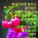 수다방 이미지