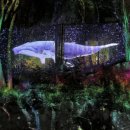 원주곤충마을박물관 이미지