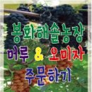 해솔농장 이미지