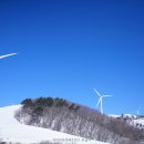 삼양목장 이미지