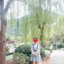 성진탕 | [중국/서안/당] 청진대사/회족거리/화청지
