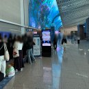 인천공항 2터미널 새로 오픈한 24시간 스카이허브 라운지 대만족 후기