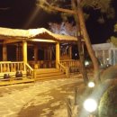 단풍애김밥 이미지