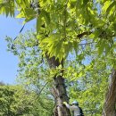 주식회사초원 이미지