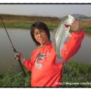 가자남쪽나라 이미지