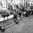 리드 피트니스 이미지