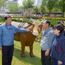 풀냄새꽃향기 이미지