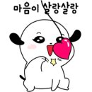 남도로스 이미지