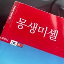 비 오는 날 다녀온 몽생미셸 투어 후기｜지베르니·옹플뢰르·몽생미셸 하루 코스 솔직후기