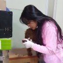 바둑이펫 이미지