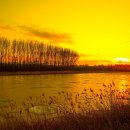 가평행정사 이미지