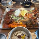 코다리네 이미지